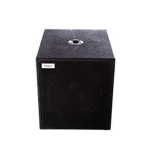 RF215 - Dual Loaded Bass Cabinet